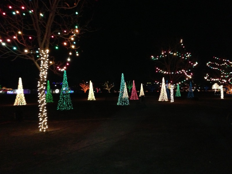 2012/12(Dec)/10(Before Christmas Fun)/800x600_2012-12-21 13 Trail of Lights.jpg